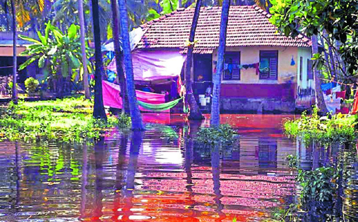 Flooding, artificially caused due to chocking of estuary at Bettampady in Someshwara inundated many houses in the vicinity, on October 30, Tuesday.