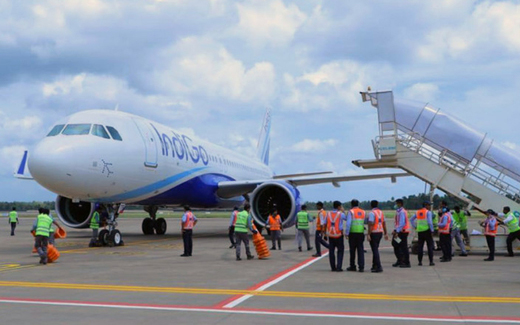 Indigo-Kochi.