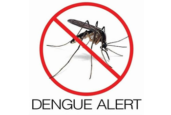 dengue.jp