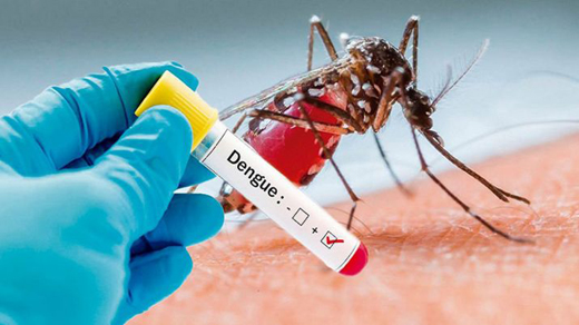 dengue-fever19...