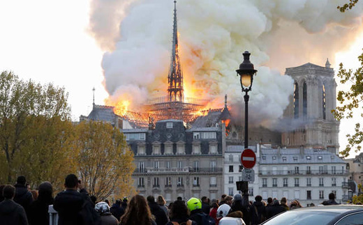 notre-dame-cat...