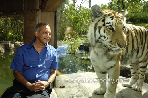 Dr Ullas karanth with tiger