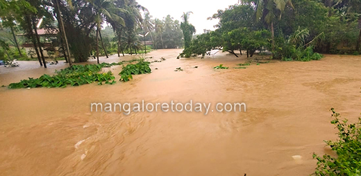 Mangaluru-rain