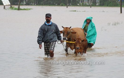 Heavy rain in Udupi