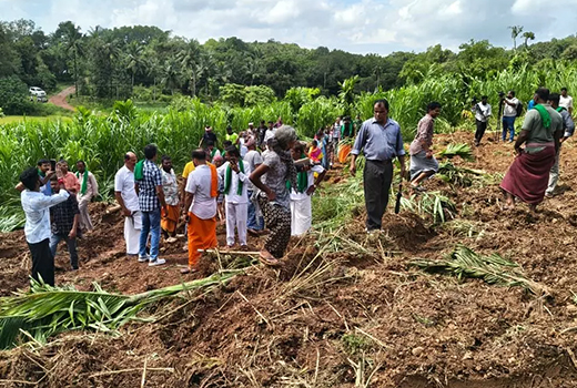 Damaging Farmland in Thenkamijaru