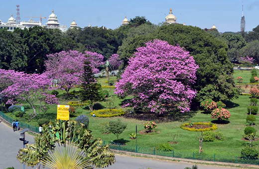 Park Land for Infrastructur