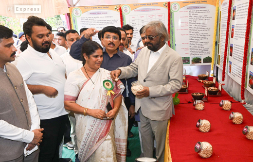 Cashew Fair