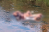 Vittal: Unidentified man found dead in lake at Adkasthala