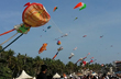 Kasaragod: Bekal International Beach festival to begin from December 22