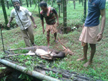 Deer falls into pond near Idyadka, dies