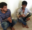 Police arrest two youths for illegally transporting cattle