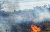 Officials continue to douse forest fires in Dakshina Kannada