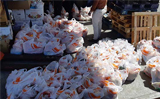 Al Khobar: Indian Social Forum distributes food kits to expat labourers