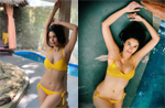 For her 45th birthday, Mallika Sherawat looks like a ray of sunshine in a yellow bikini