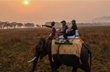 PM Modi takes Elephant, Jeep Safari in Assam’s Kaziranga National park