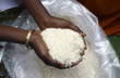 Government introduces ’Bharat Rice’ at Rs 29/kg to alleviate consumer burden