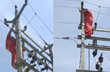 UP woman climbs electric pole after fight with husband over extramarital affair