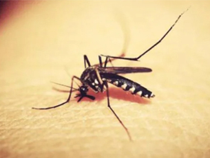 Zika virus case reported in Kerala, 24-year-old woman in Thiruvananthapuram infected