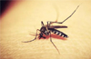 Kerala reports 3 more cases of Zika virus, 44 in total