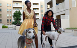 Dubai-based Indian teen designs 2020 calendar to promote dog adoption