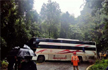 One killed, 15 injured in RTC bus accident at Kerala-Karnataka border