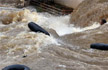 77 dead as rains wreak havoc, flood situation worsens in Karnataka