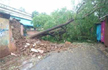 Cyclone Gaja wreaks havoc, claims 20 lives in Tamil Nadu