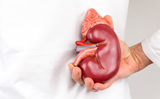 World Kidney Day 2024: Follow these diet and lifestyle tips for healthy kidneys