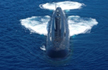 Indian Navy eyes 6 lethal submarines with 500 km strike range cruise missiles on them