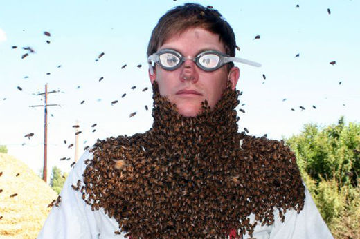 How To Grow A Beard Of Bees Because Who Doesnt Want 10000 Stinging