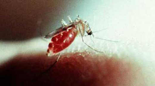 Dengue death