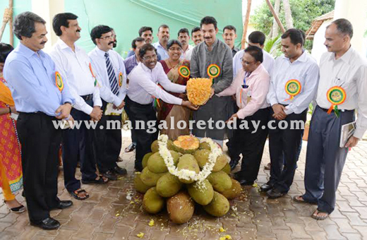 Jackfruit 