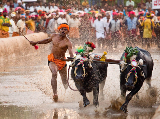 Kambala