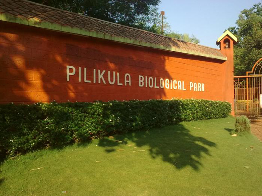 pilikula water park