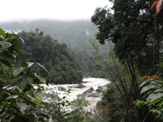 Mangaluru