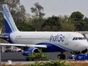 Indigo 