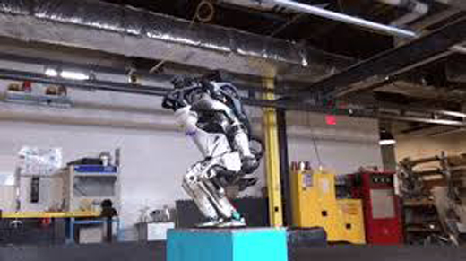 Robot