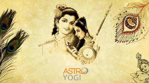 Janmashtami 2017 shop