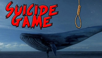 blue-whale.j