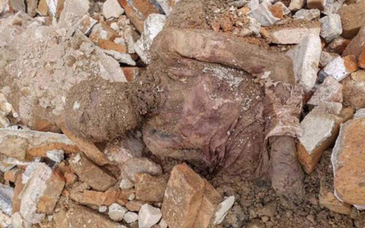 Mummified.jpg
