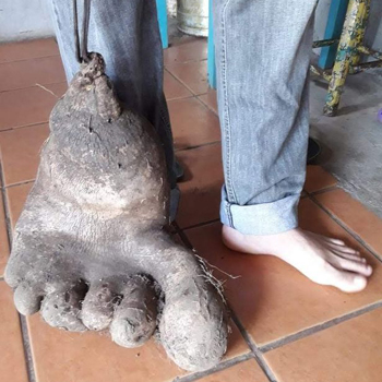 FootPotato2