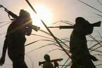 Naxals