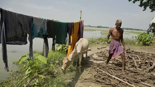 assam18dec