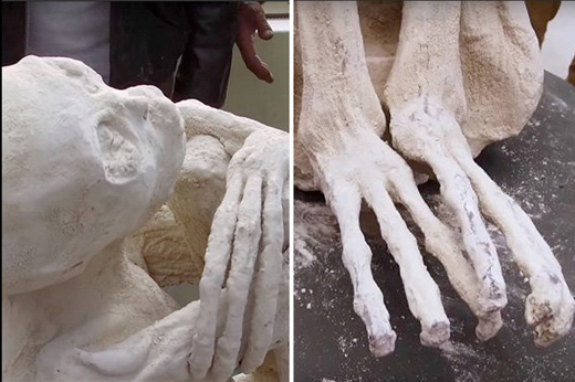 DNA results on three-fingered 'alien' mummy REVEALED