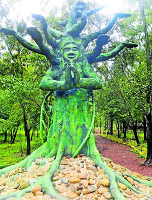 Forest.jpg