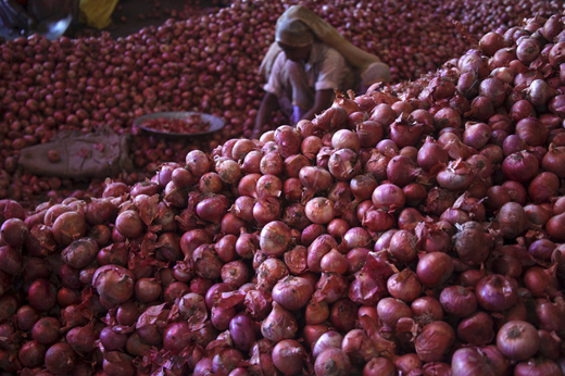 onion21