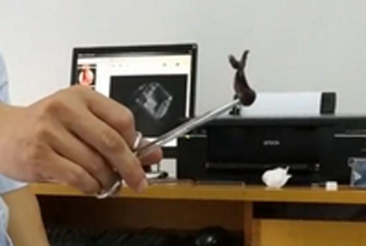 leech.
