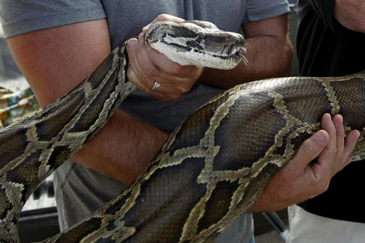 python1nov19.jpg