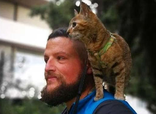 cat-1.j