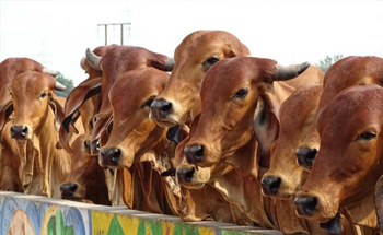 Farmers.